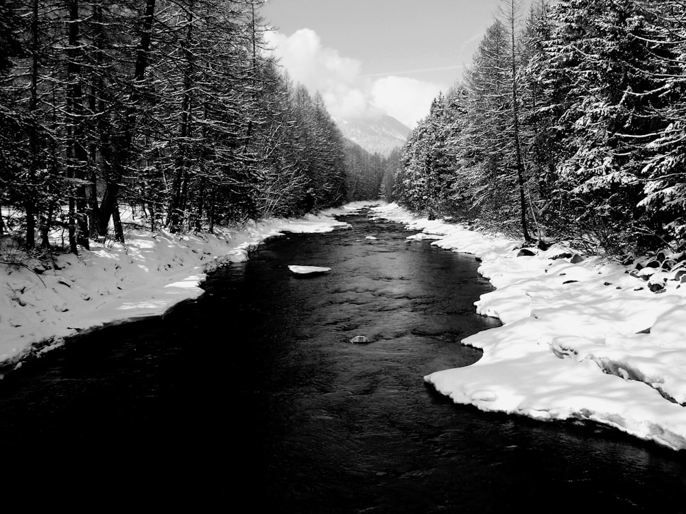 grayscale photography of flowing river near field and trees covered with snow