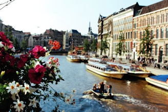 case ad Amsterdam bordo al canale passeggiata