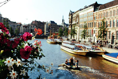 balade unique en francais avec un guide privée a amsterdam