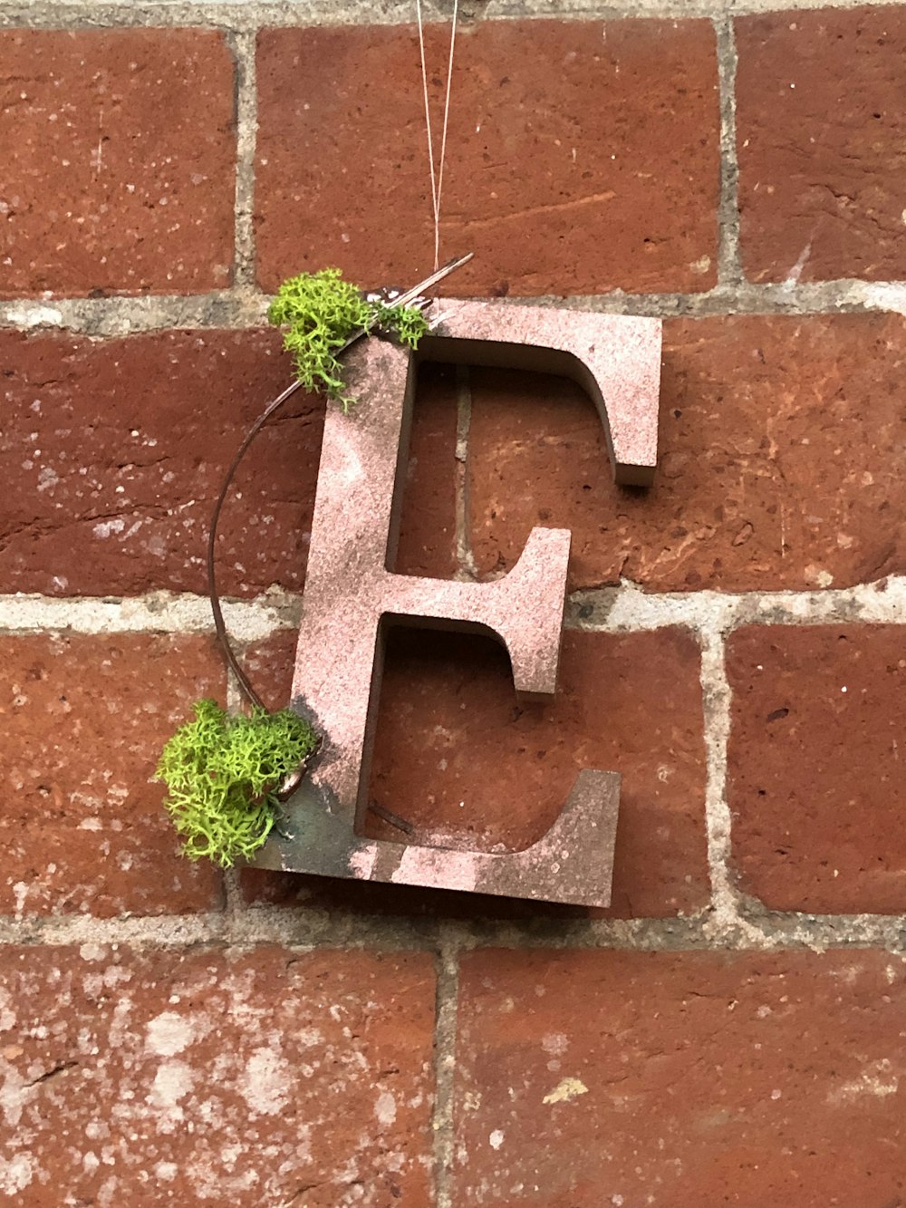 brown big letter E decor with green plant on top