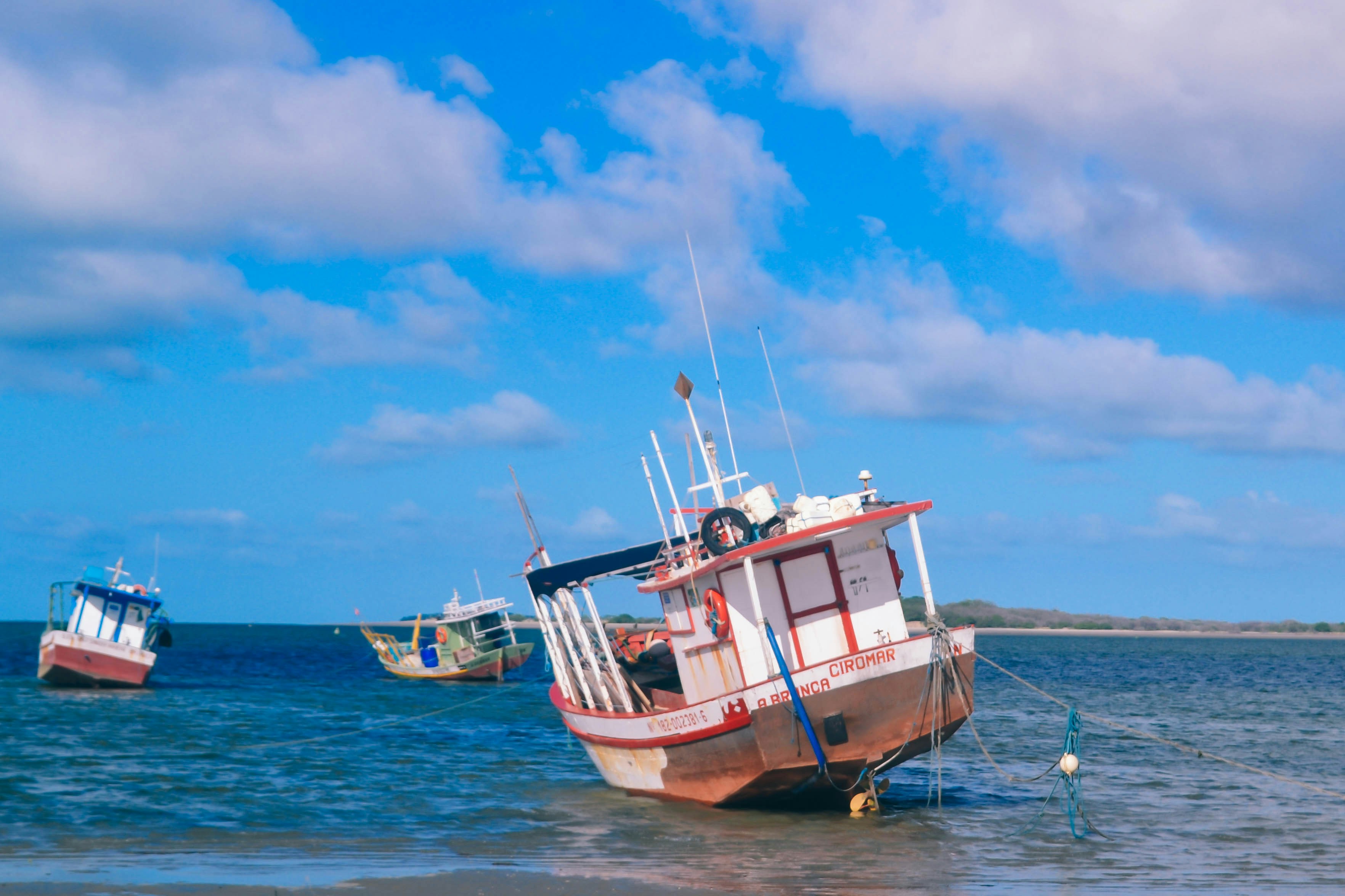 Photo by patriciosouza