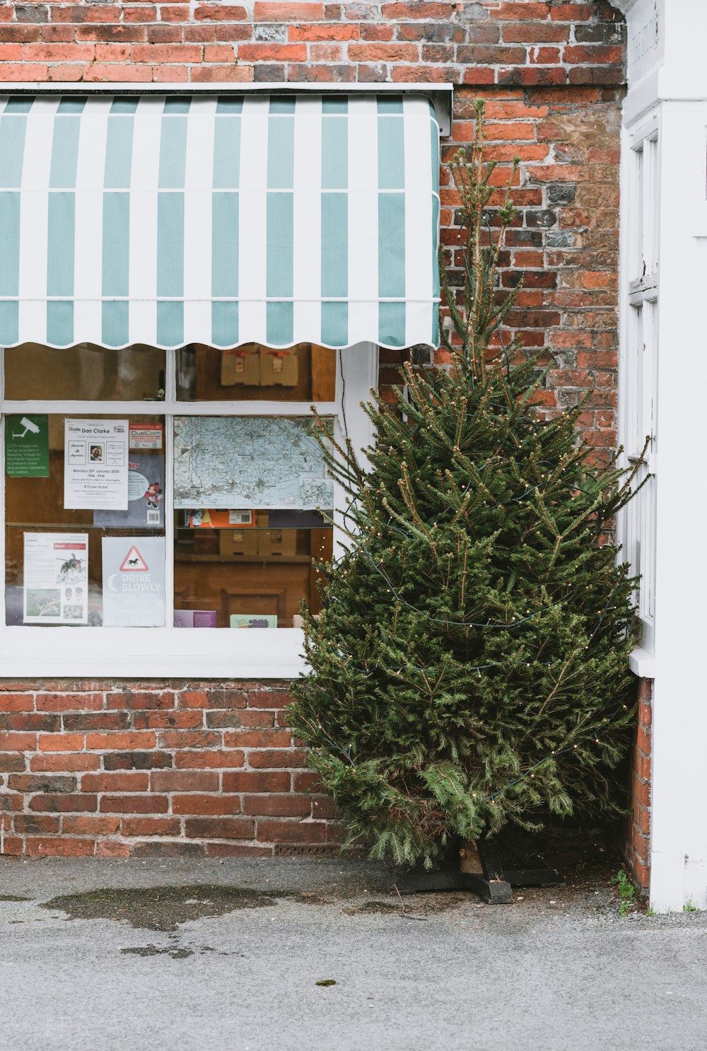 tree beside brick building with awning on window