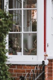 A portion of a house exterior with a window. Through the window, various plant pots and decorations can be seen. Hanging ornaments and potted plants add to the cozy and rustic atmosphere. The window frame is painted white, contrasting with the red brick wall and a small section of a red door.