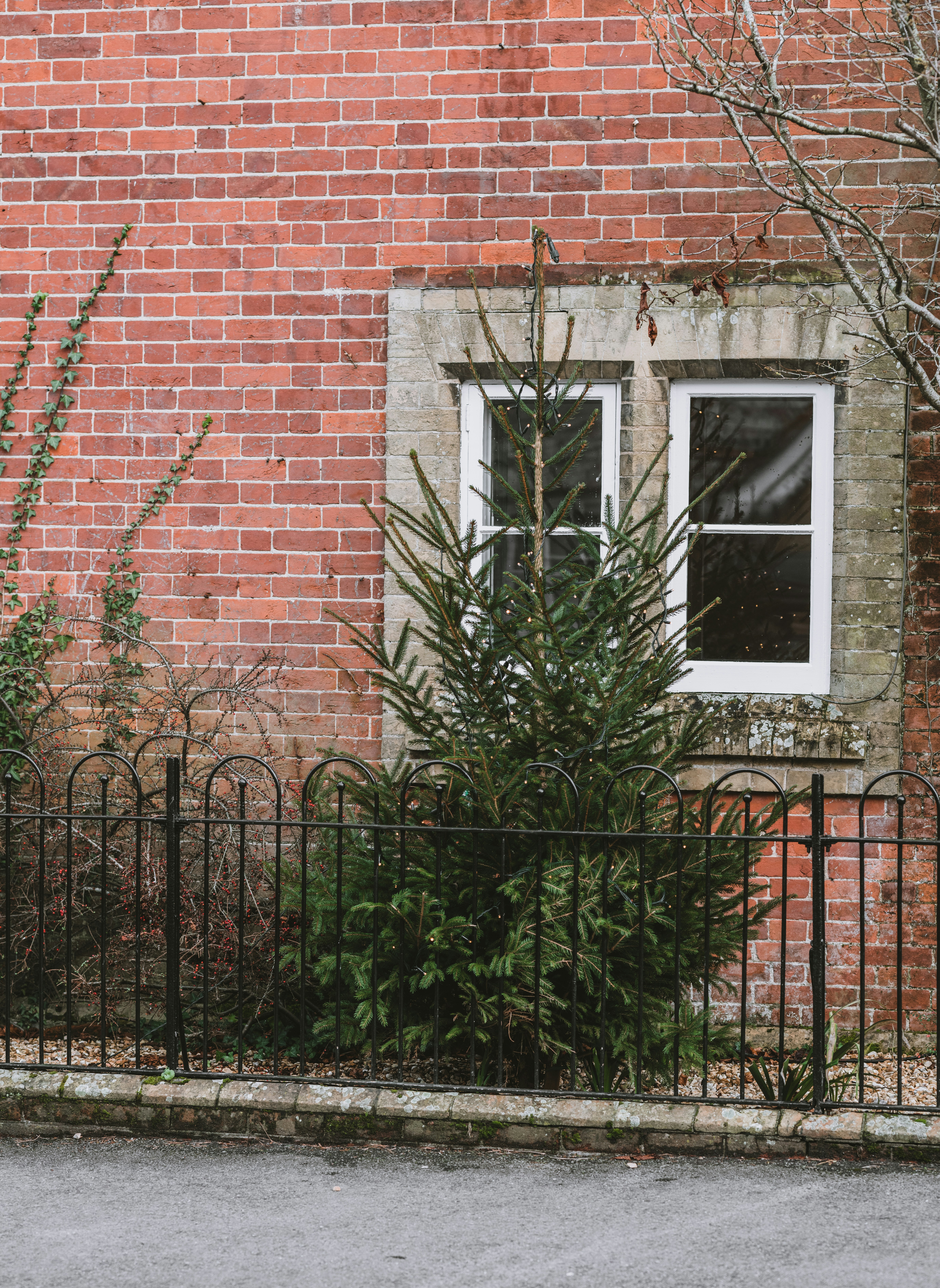 Photo by anniespratt