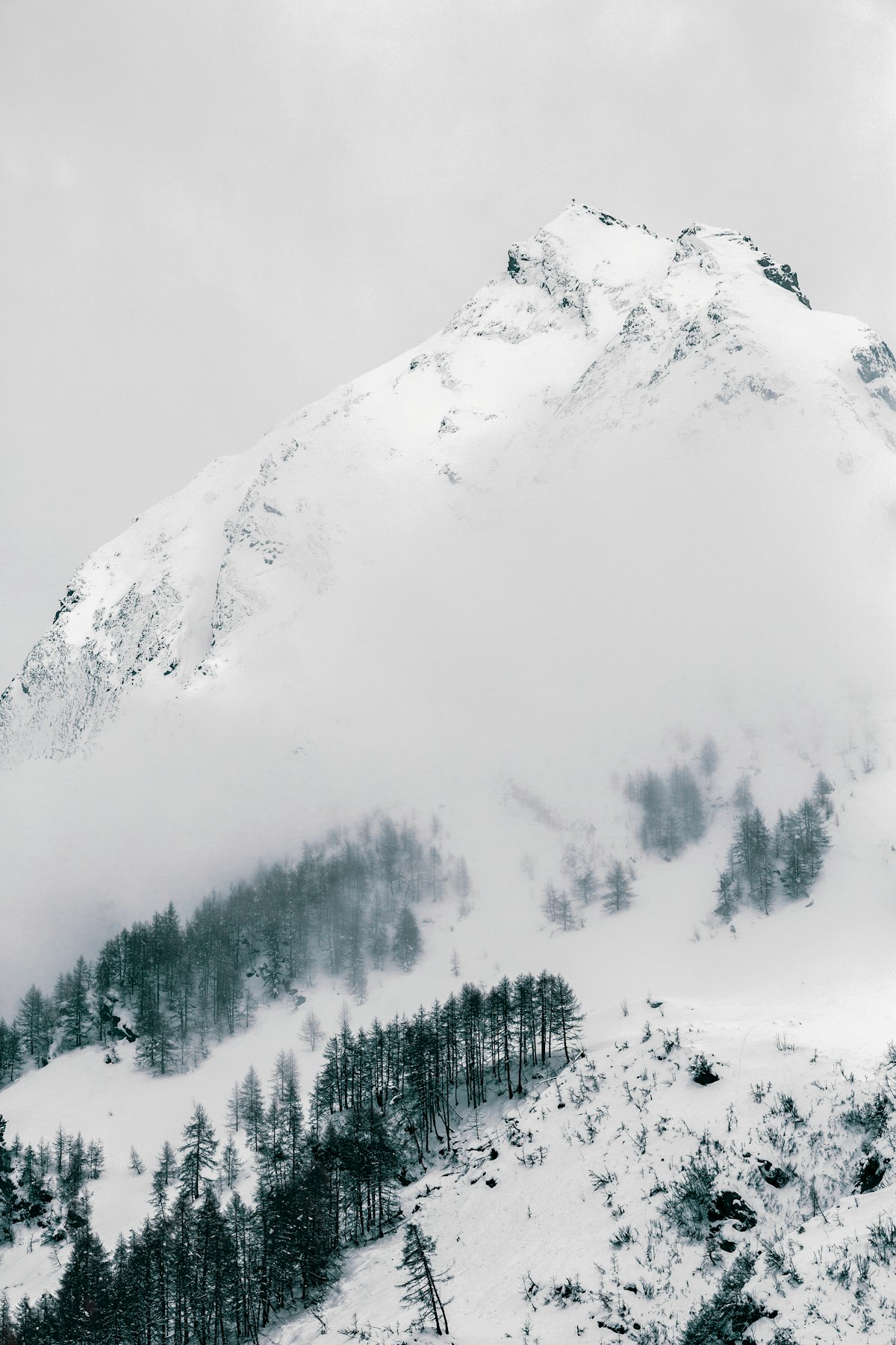 What Is Avalanche? A Guide to Avalanche's Ecosystem