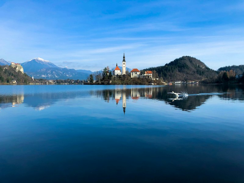 Slovenia — Slovenia