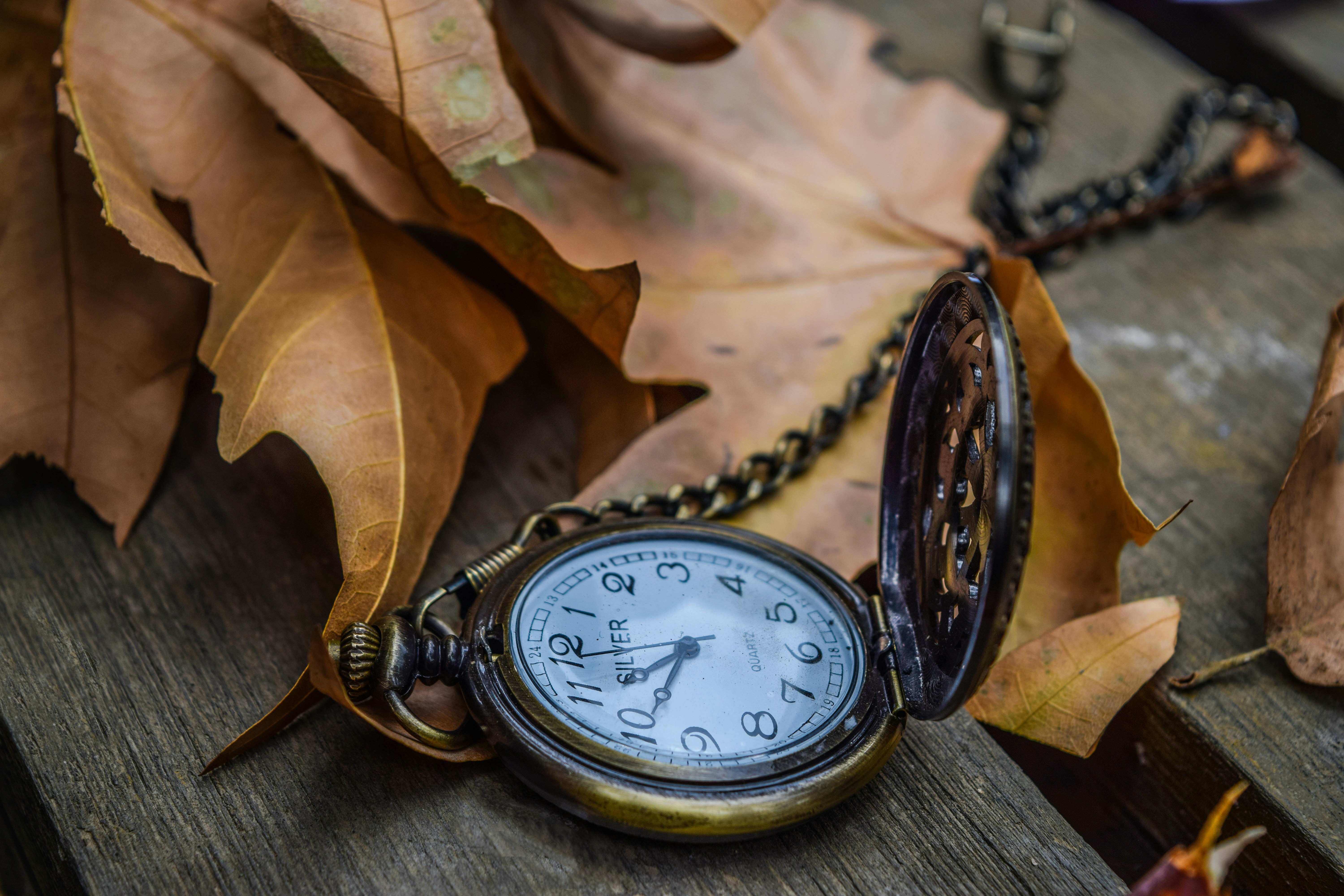 gold-colored pocketwatch on dried leaves, nostalgia pocket watch with autumn leave
