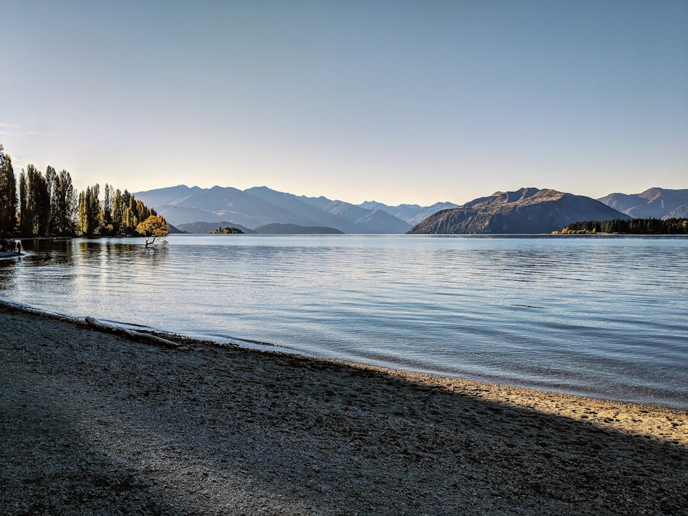 calm body of water under blue sky