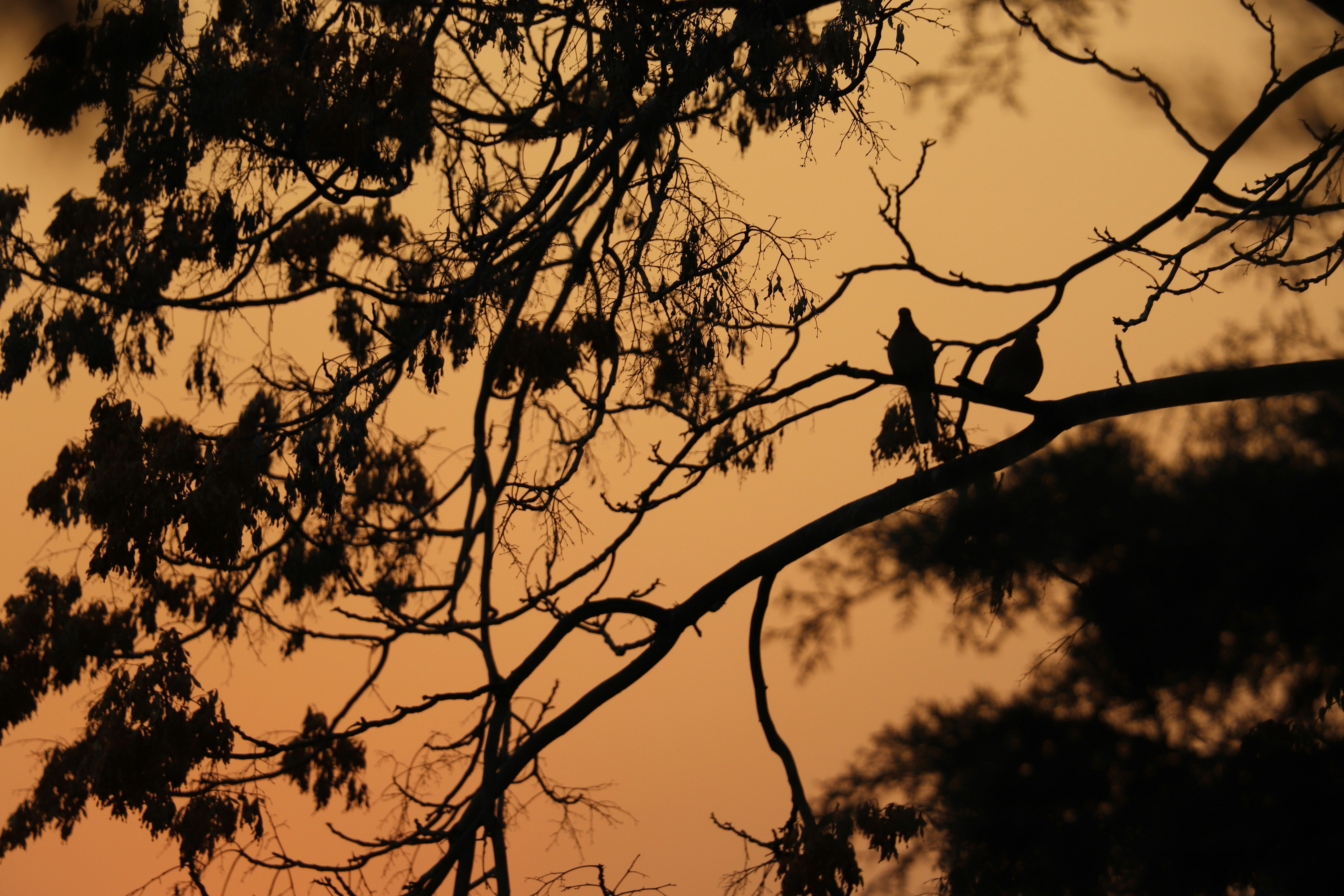 Photo by dahaghin_ma