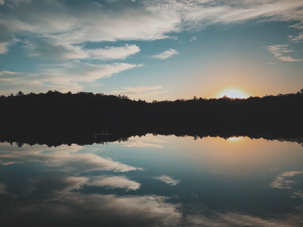 plan d’eau et forêt pendant la journée