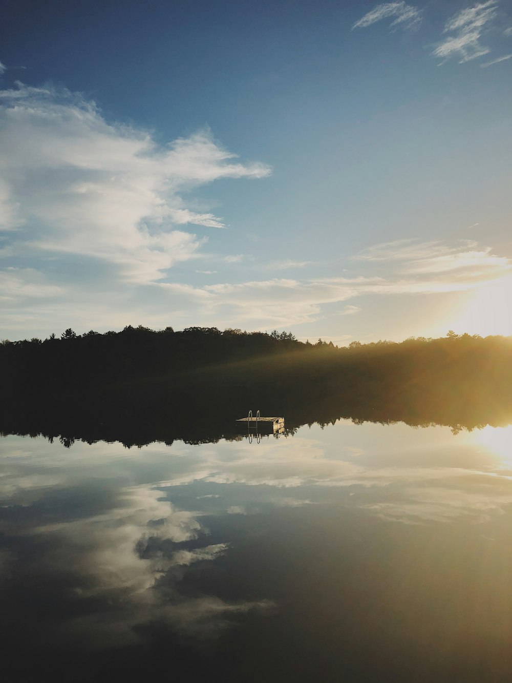 silhouette of trees beside calm body of water