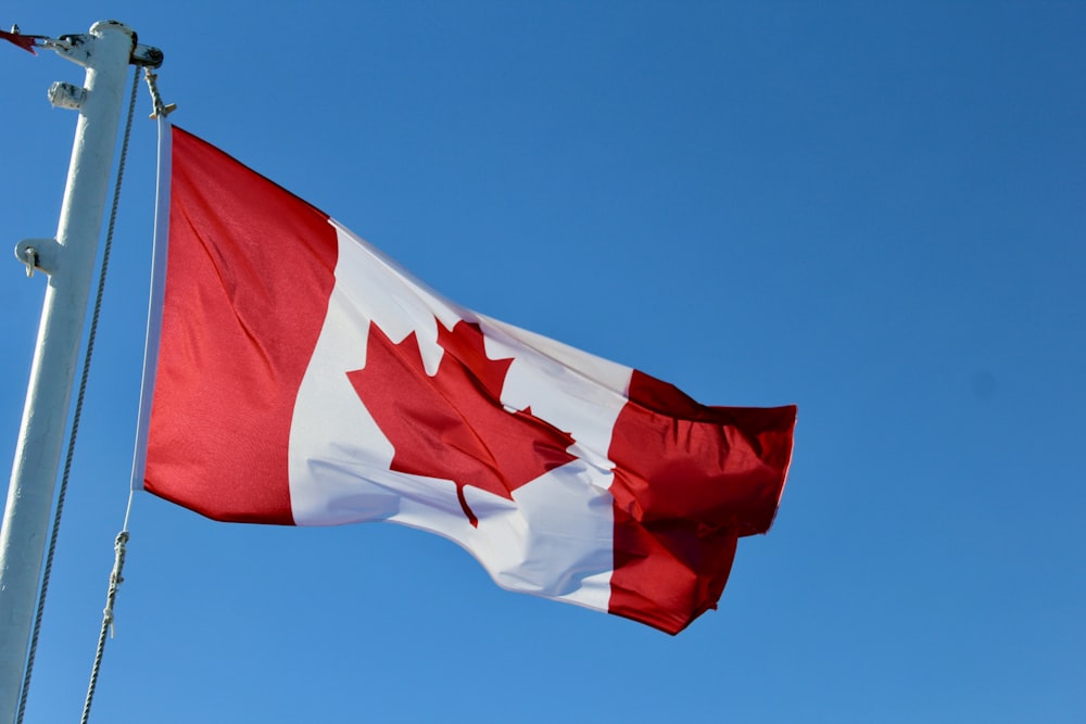 waving Canada flag during daytime