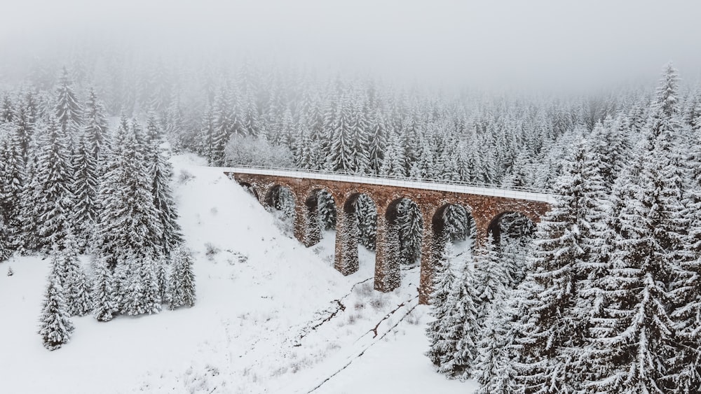 Pont en arc brun, champ et arbres recouverts de neige