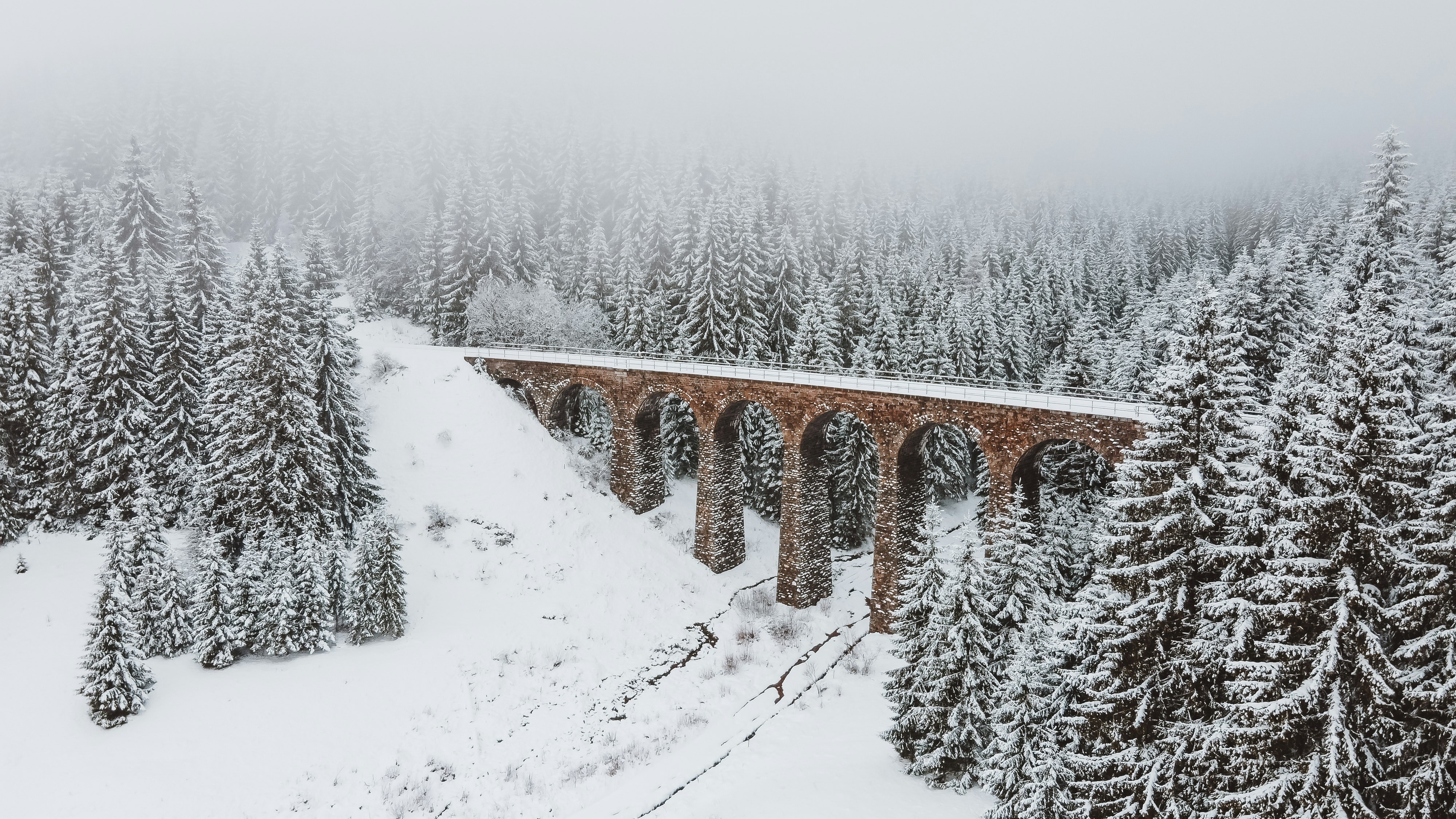 brown arch bridge, field, and trees covered with snow