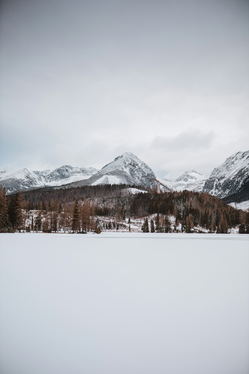 field and mountain covered with snow during daytime