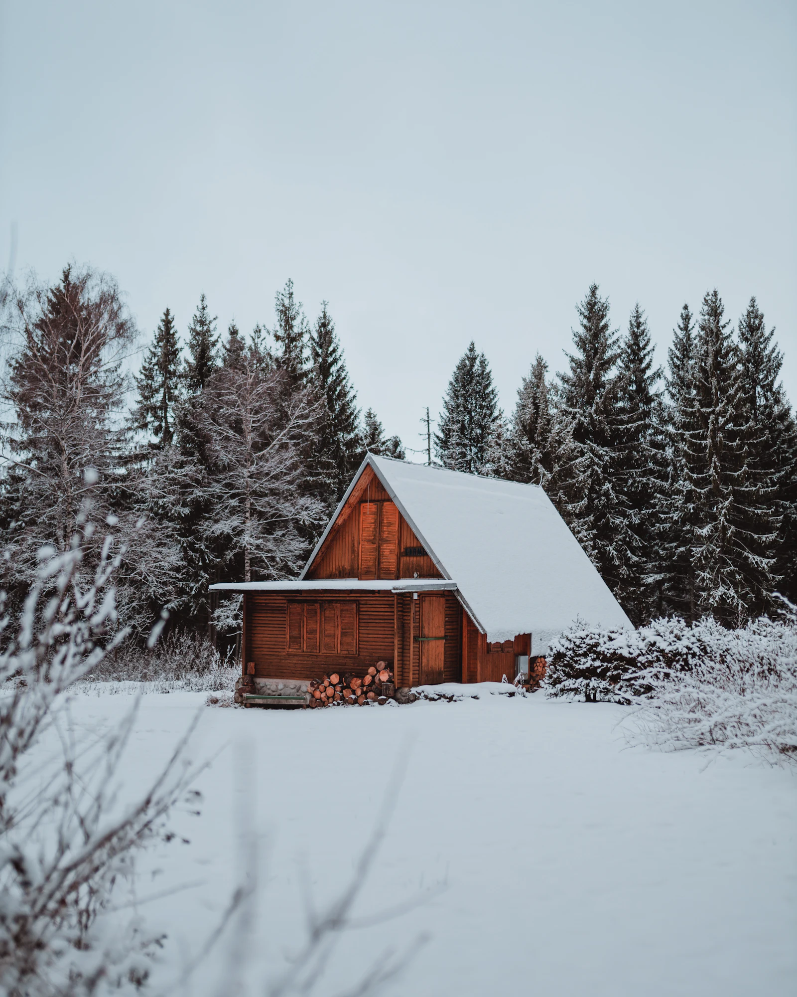 Wooden house in a snowy field surrounded by snow-covered trees