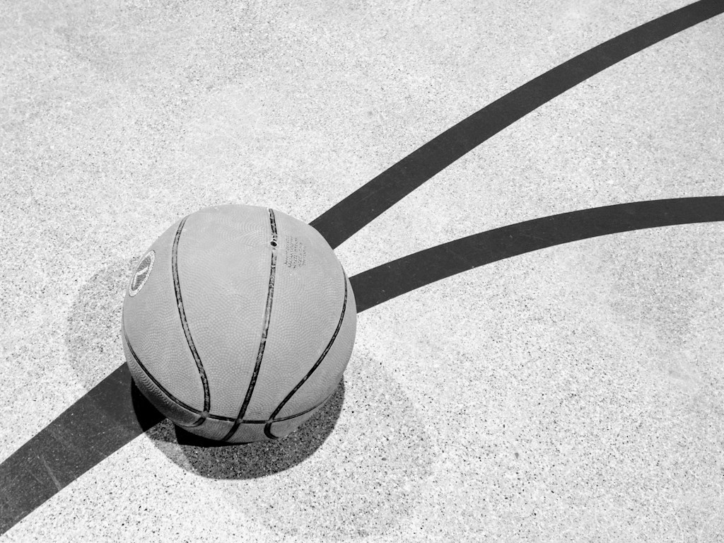 Pro Basketball