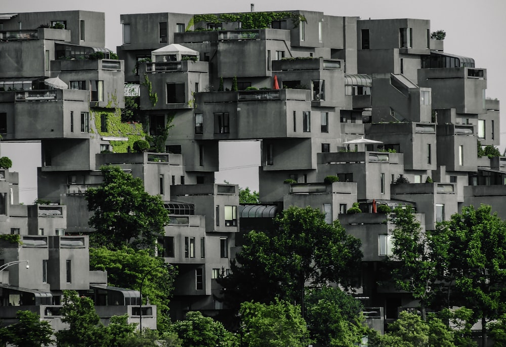 gray high-rise buildings near trees