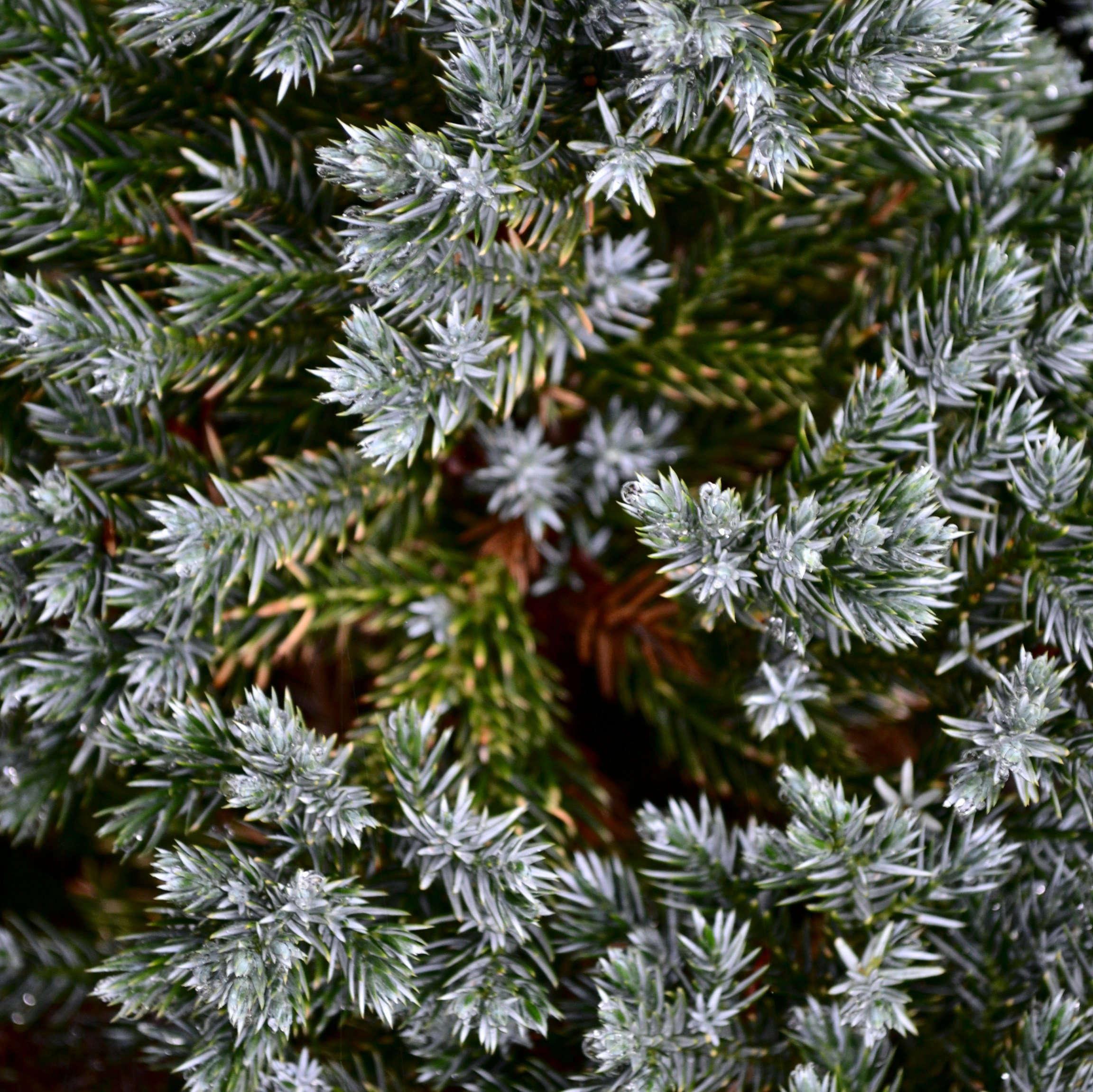 Photo by manuel_joins