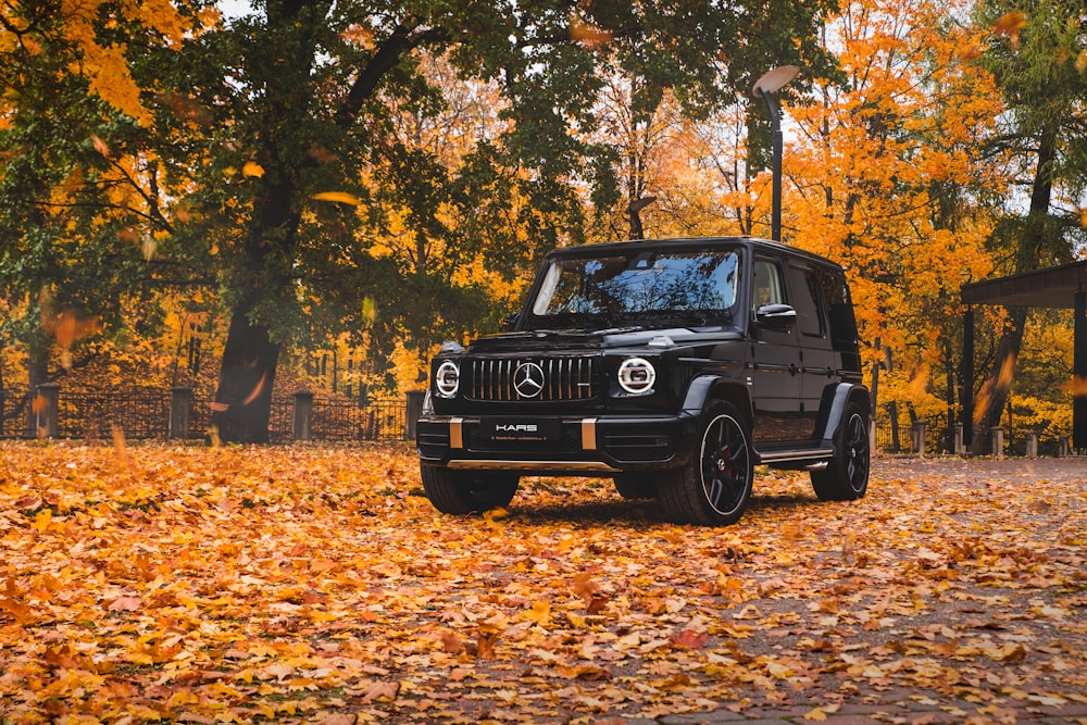 shallow focus photo of black Mercedes Benz car parked beside trees