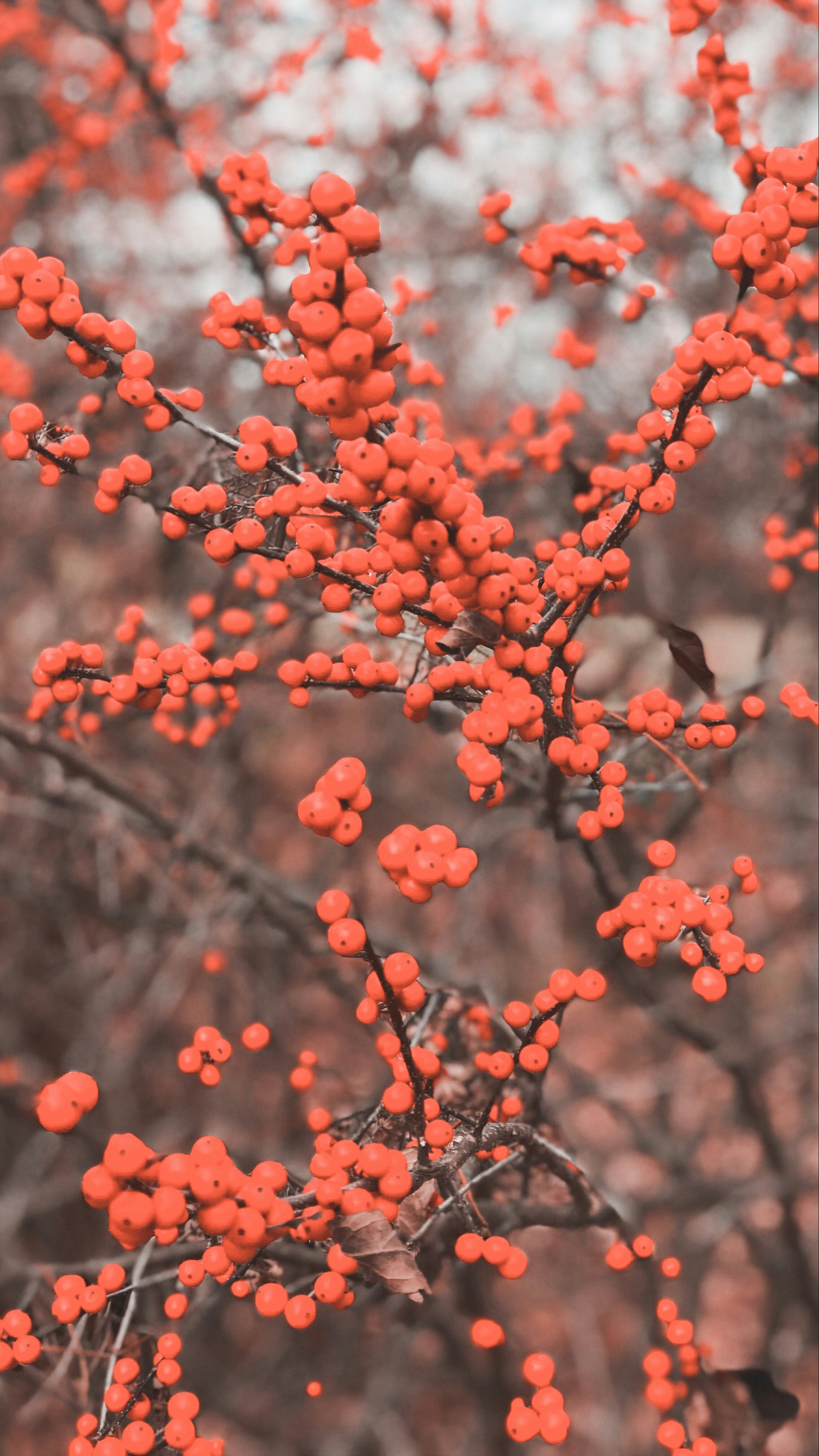 Photo by johbenjamin