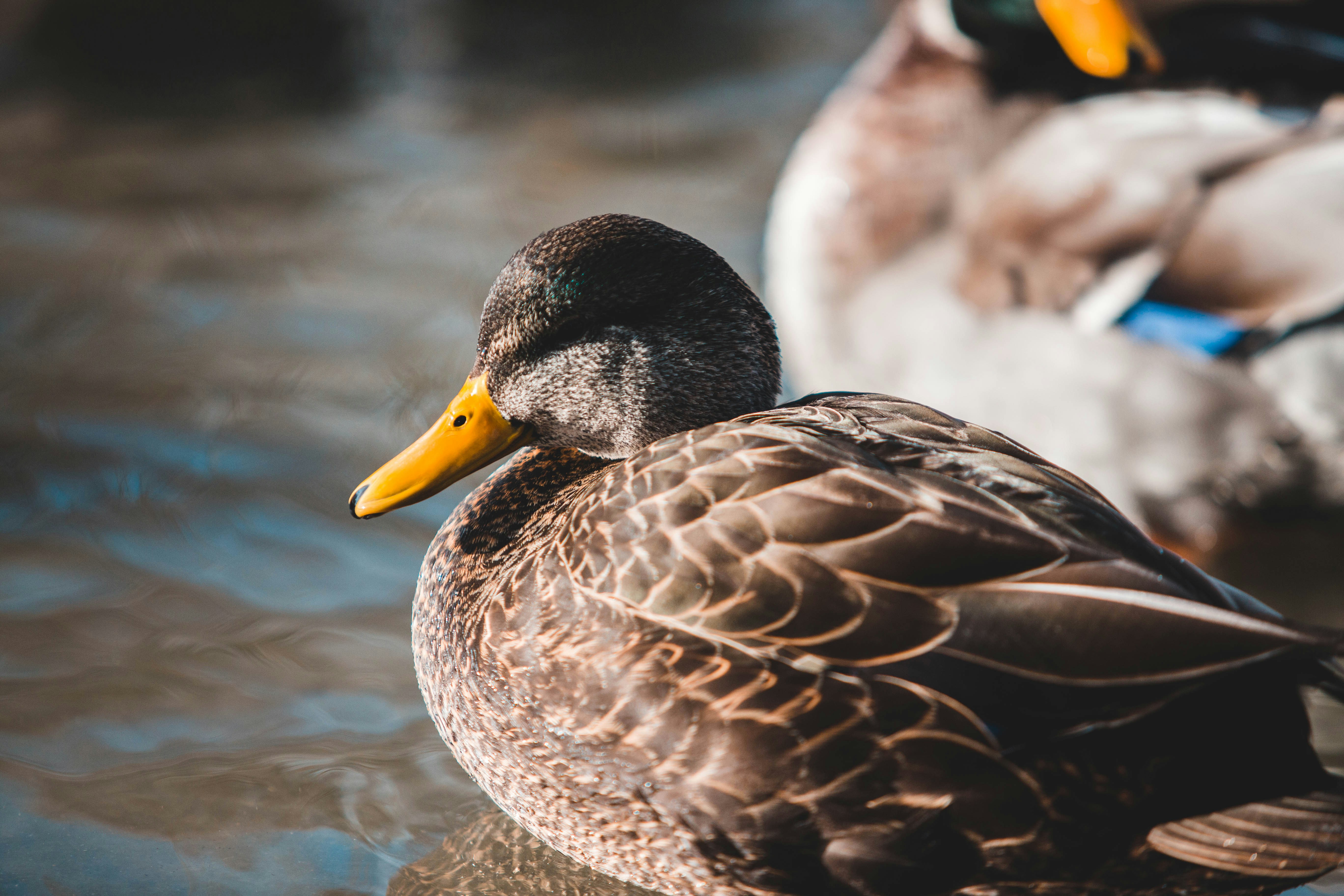 Photo by introspectivedsgn