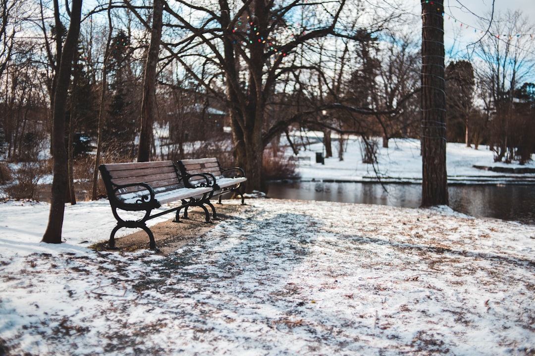two wooden benches beside river