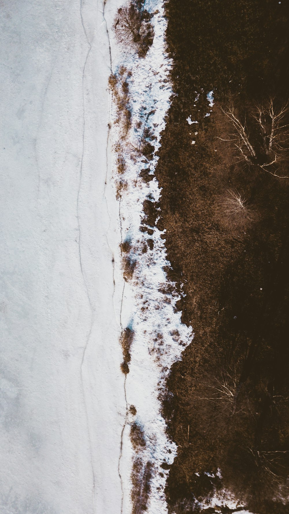 Un campo innevato vicino a una foresta