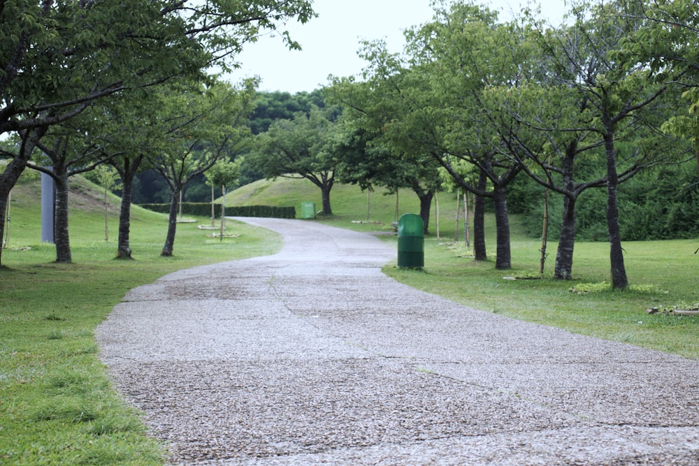 empty road surrounded by green grass and trees