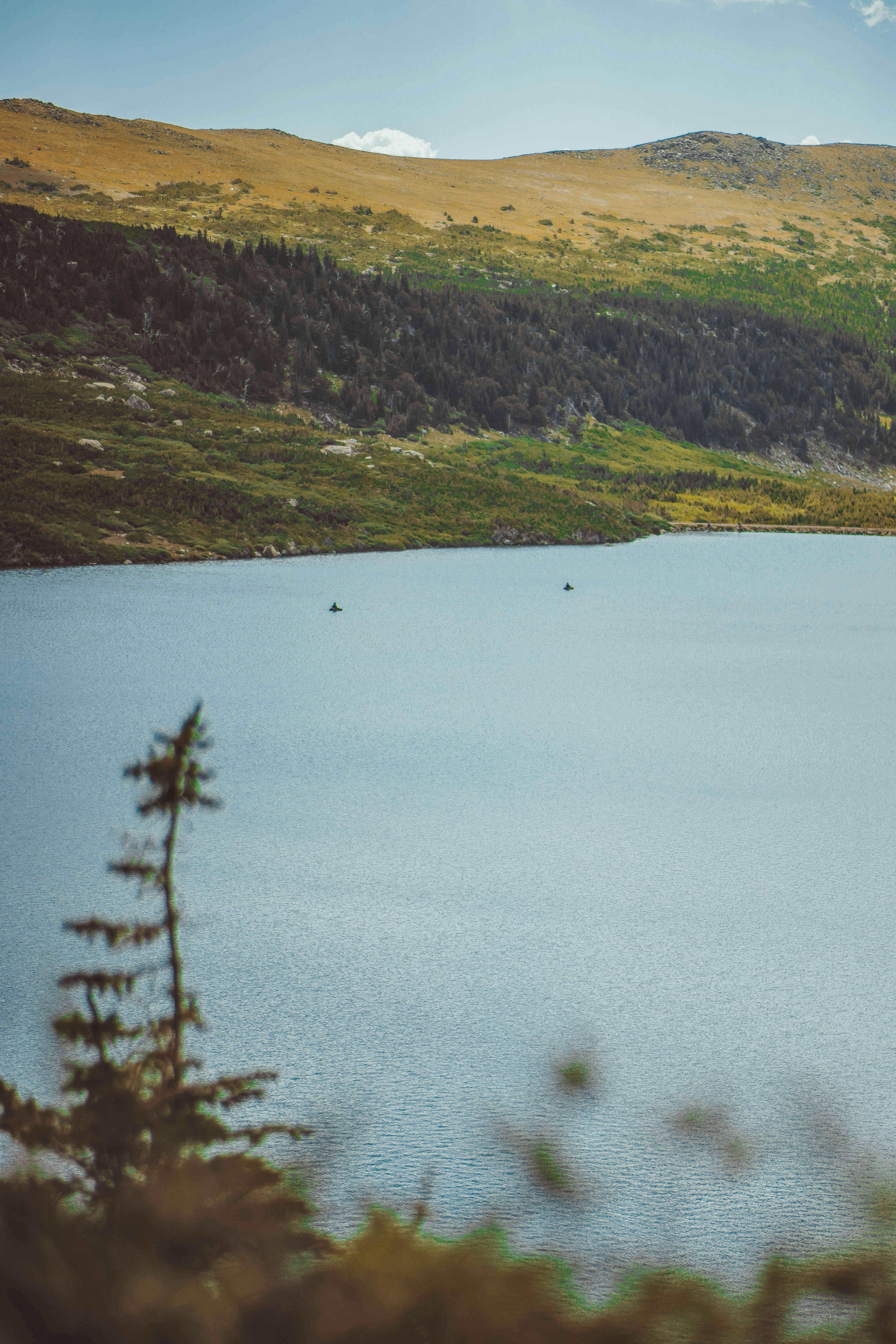 Photo by lucadpphoto