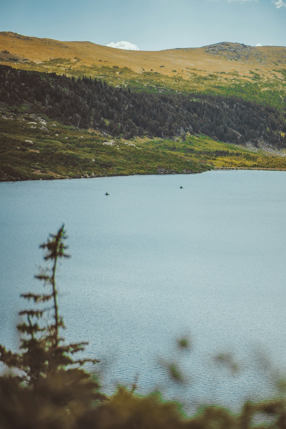 body of water during daytime