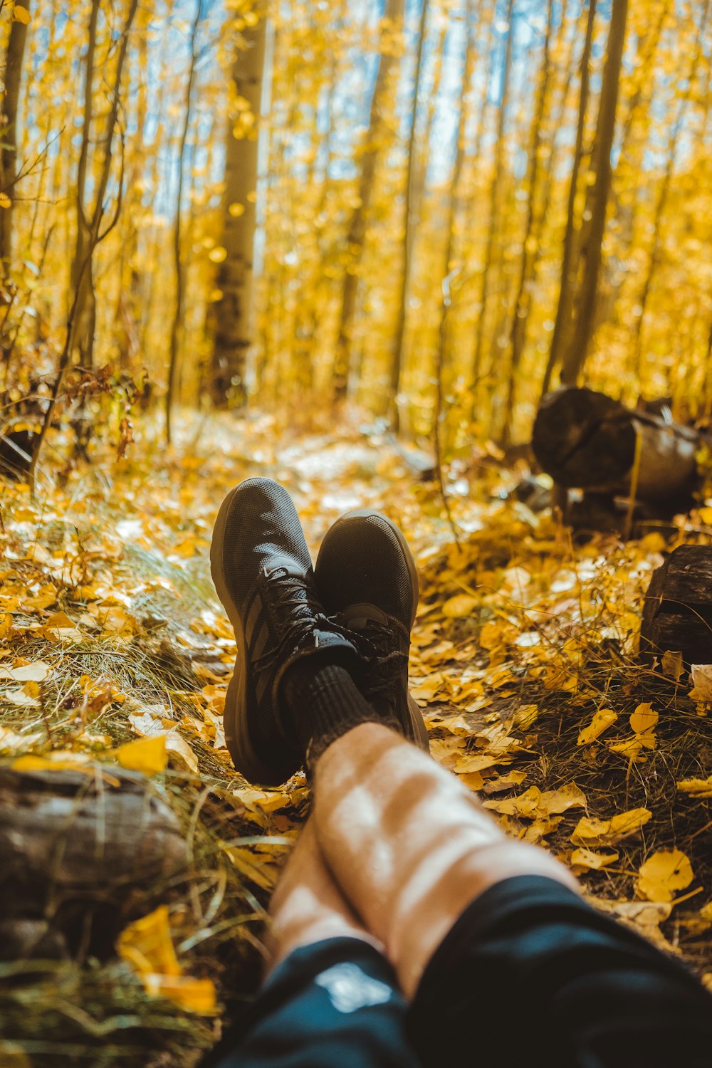 person wearing black adidas shoes sitting on field surrounded with yellow trees