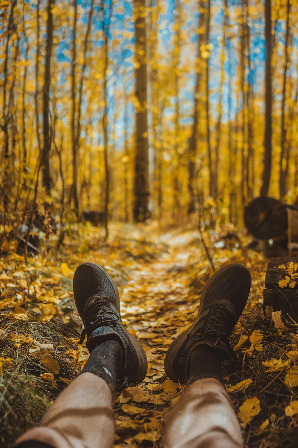 person wearing sneakers near trees