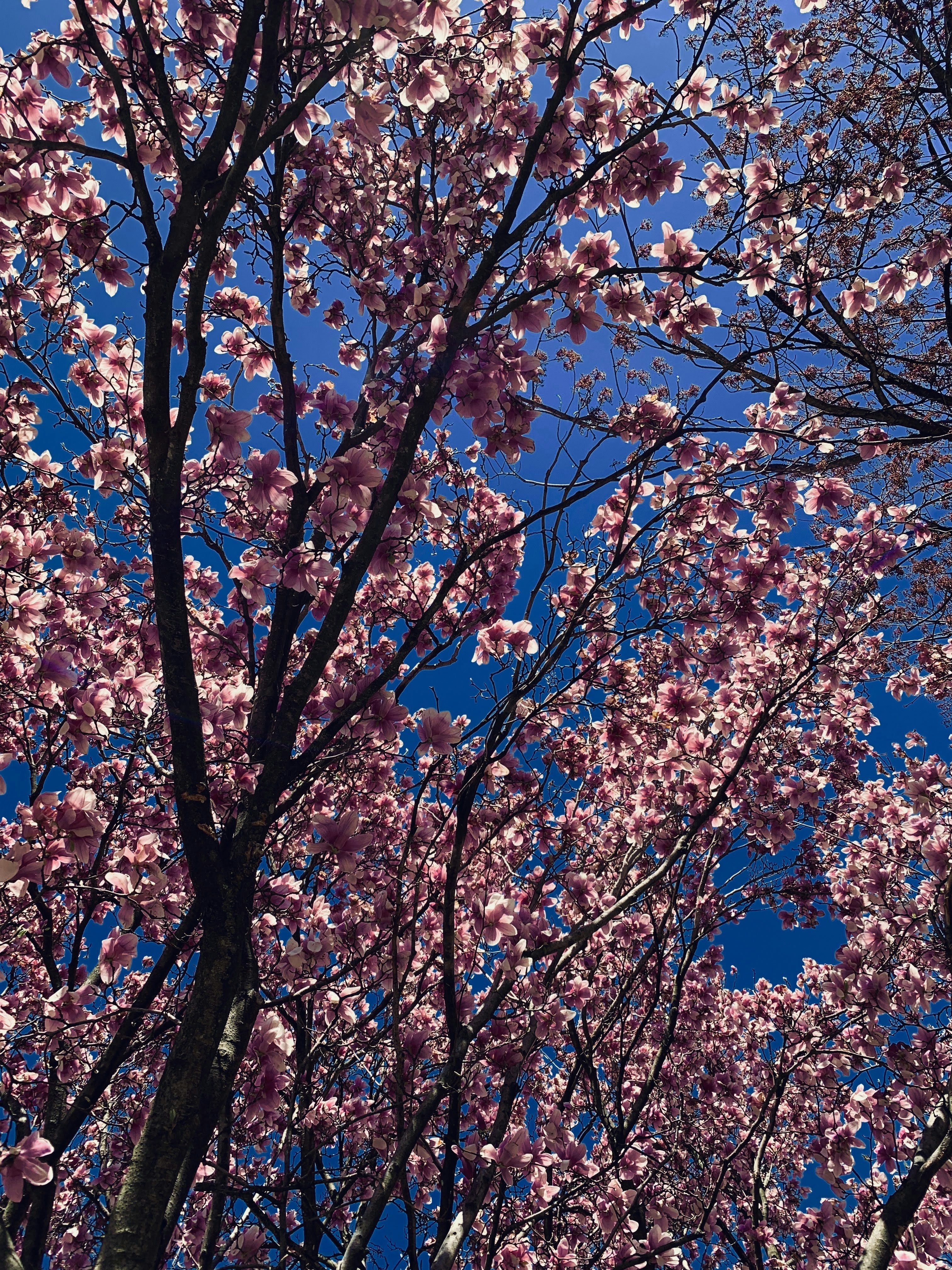 Photo by keerthiathauda