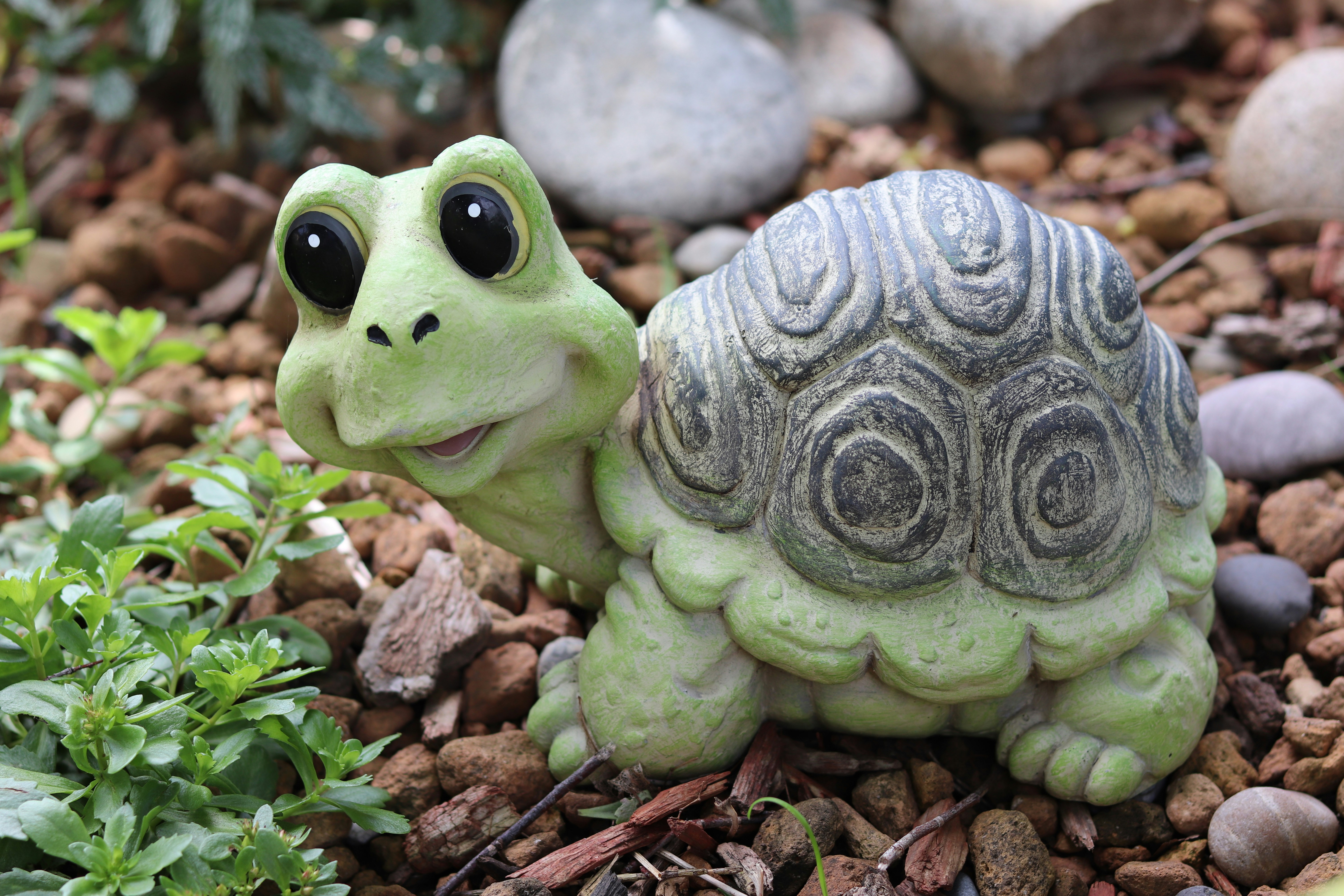 Turtle Habitat Starter Kit