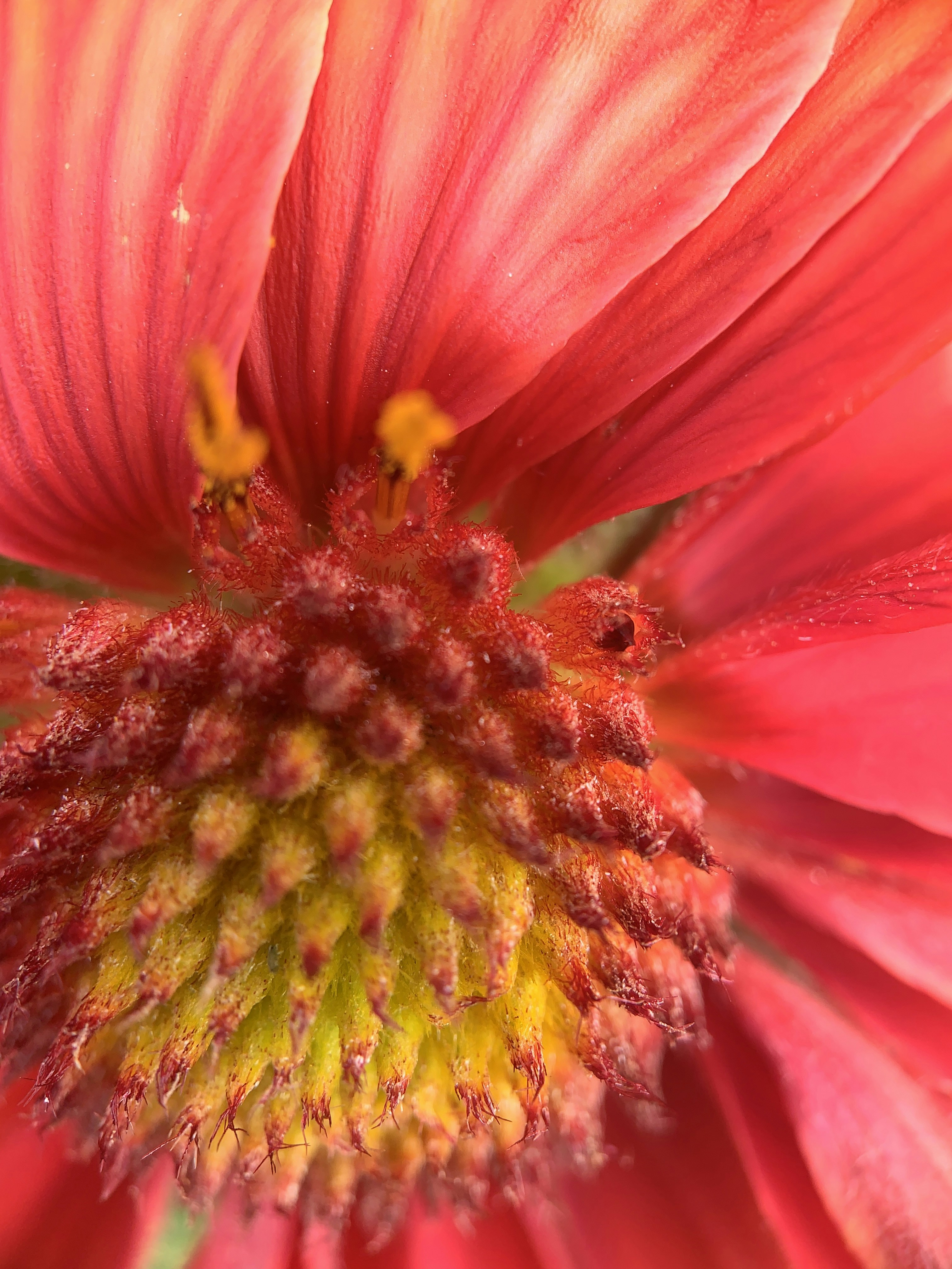 Photo by gerardtrichard