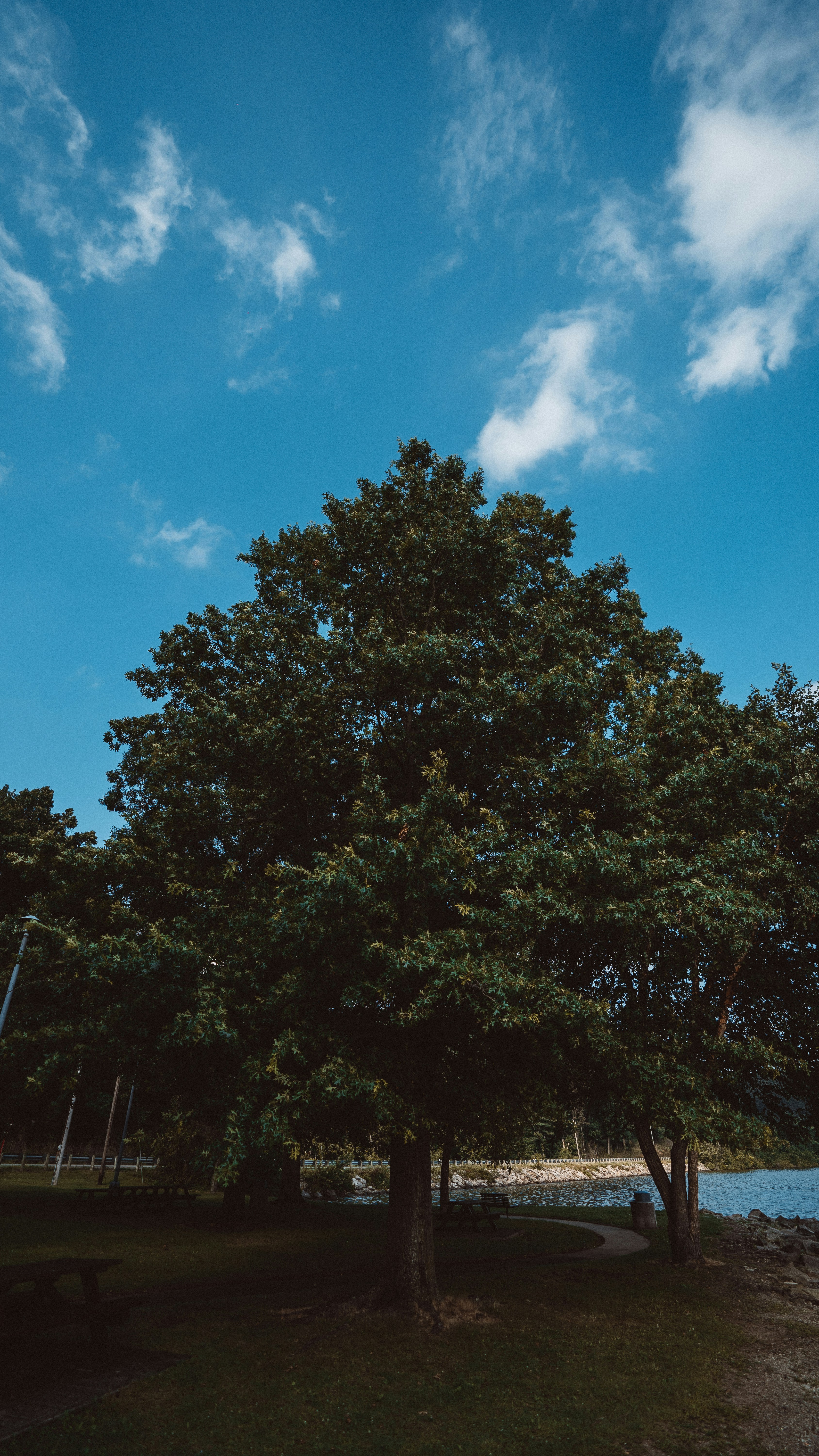 Photo by westphotoandvideo