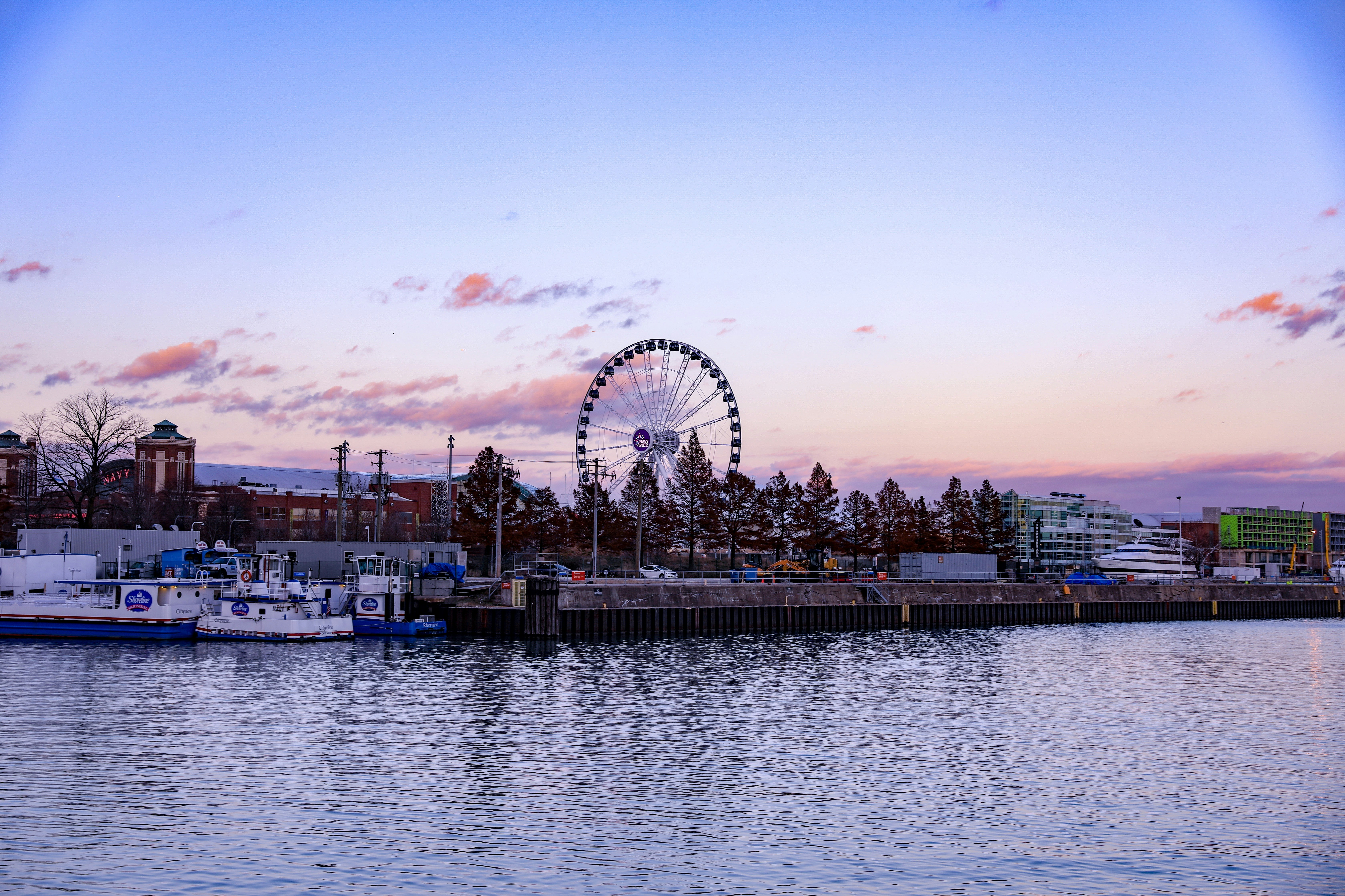 people in amusement park near body of water