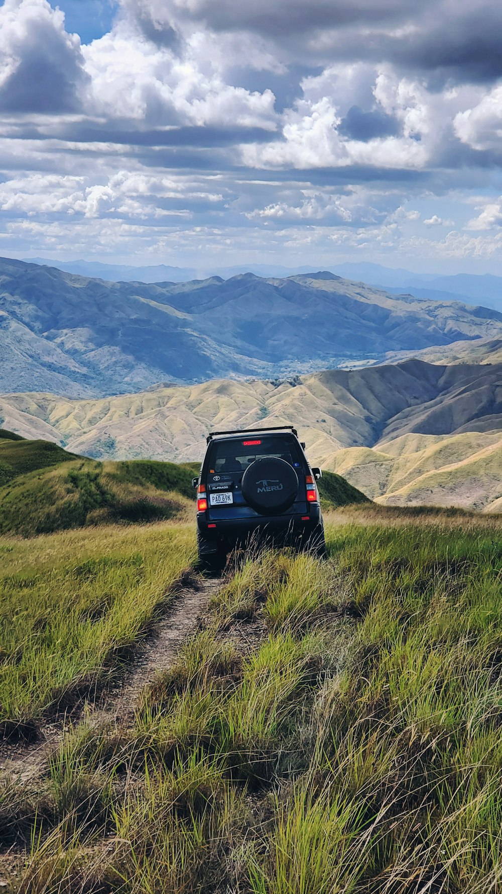 black SUV passing through grasses