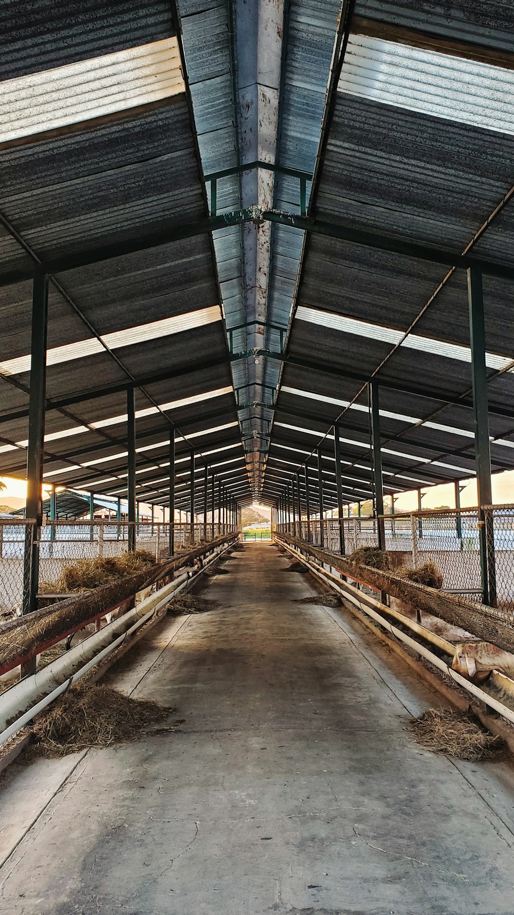 empty barn