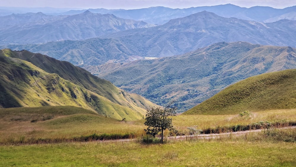 mountain ranges field