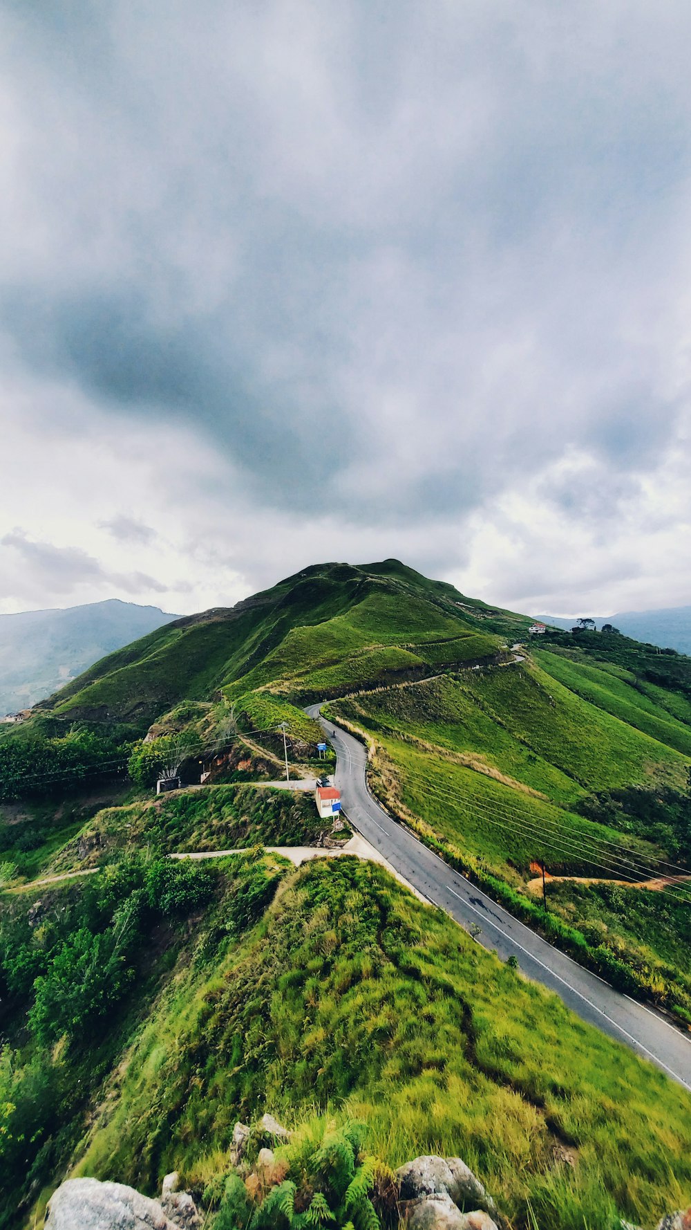 green fields with road