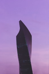 black twisted high-rise building