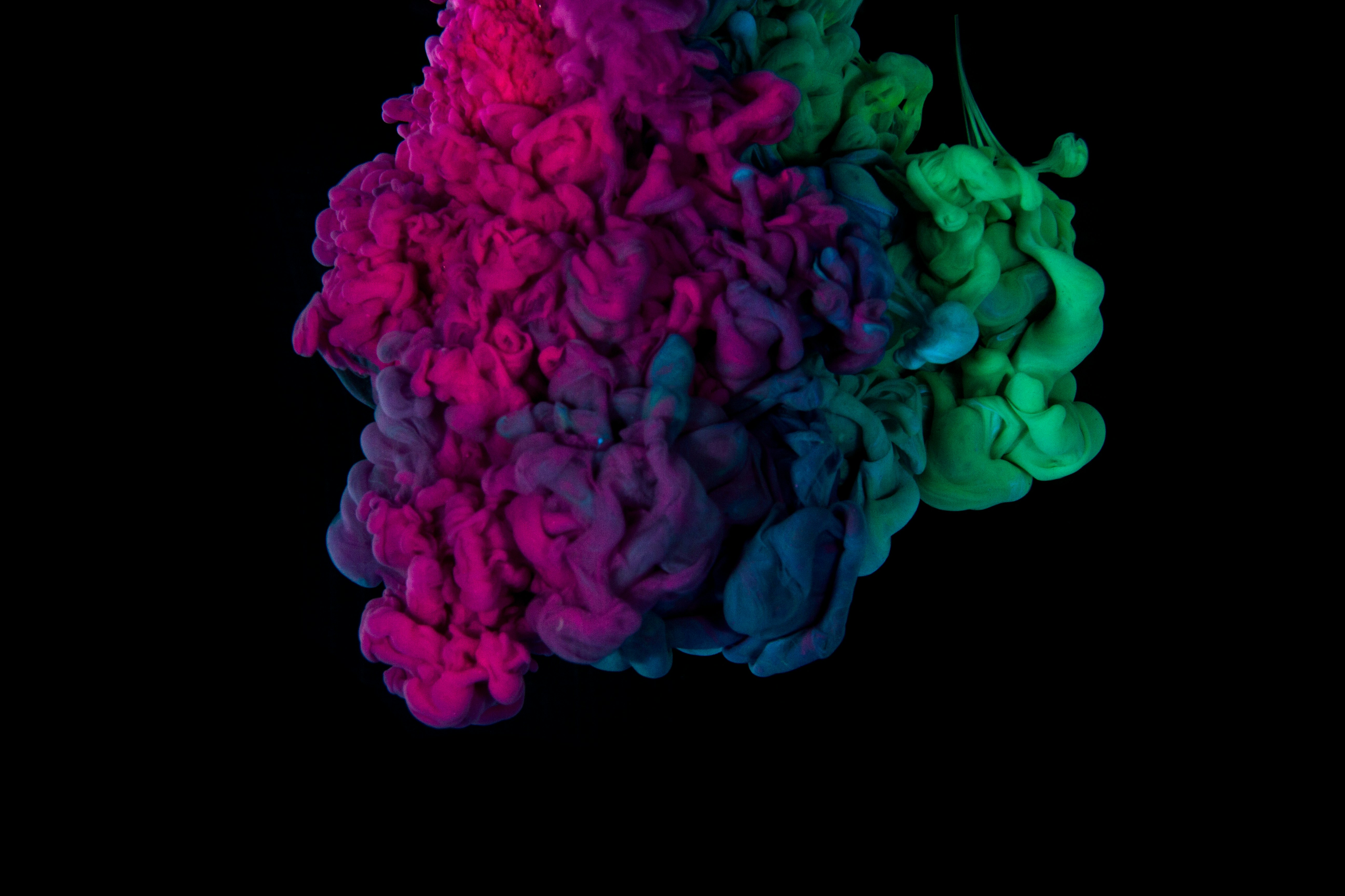 Featured image of post Duix.mobile