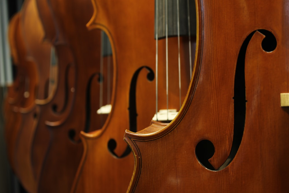 pile of brown violins