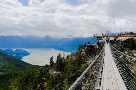 people on bridge in Squamish Canada