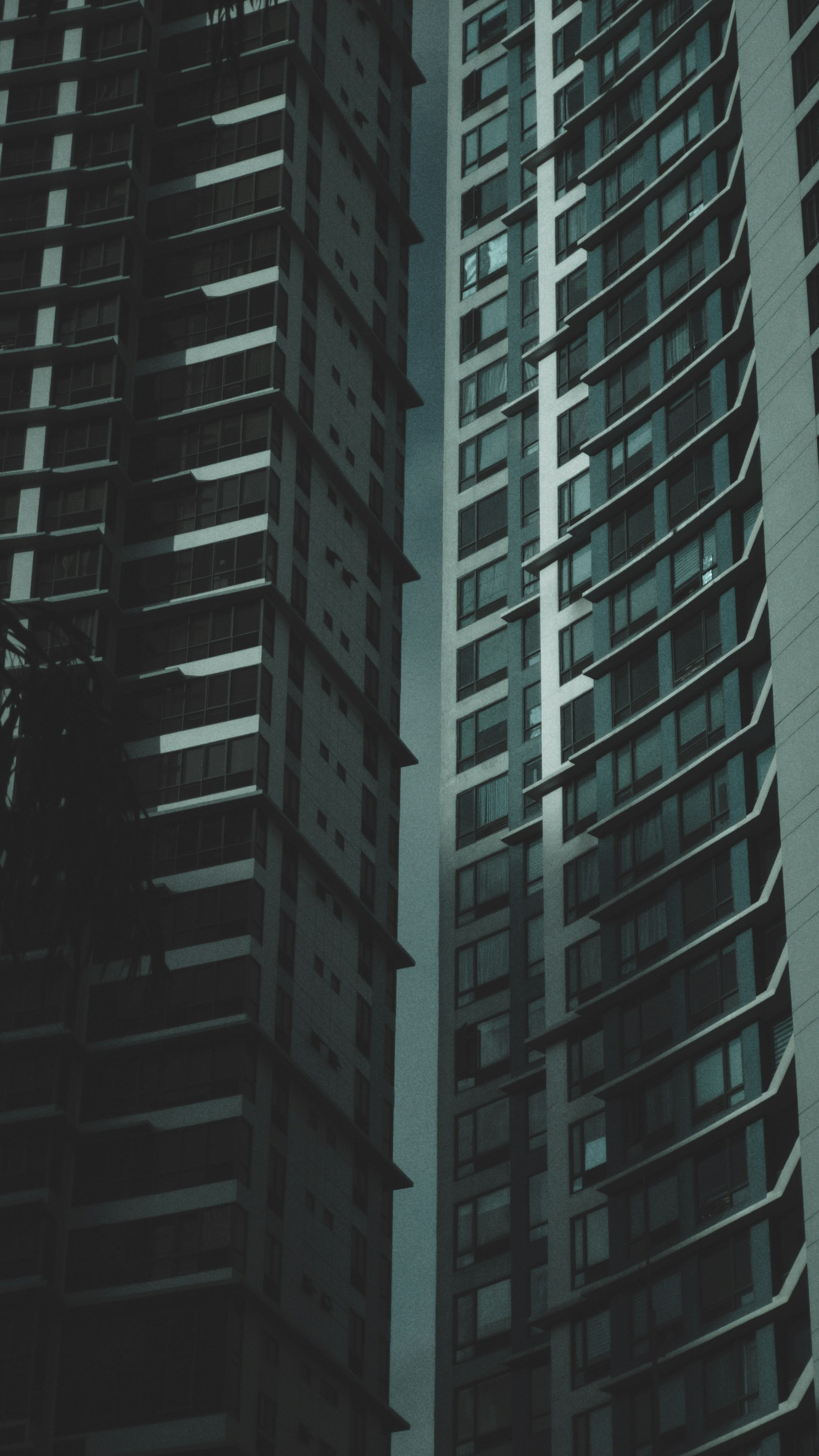 Photo by albiepatacsil