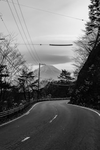 A winding road curves through a landscape with trees lining both sides. In the background, a mountain looms with its peak covered by a blanket of clouds. Overhead, power lines stretch across the sky, contributing a sense of infrastructure against the natural setting.