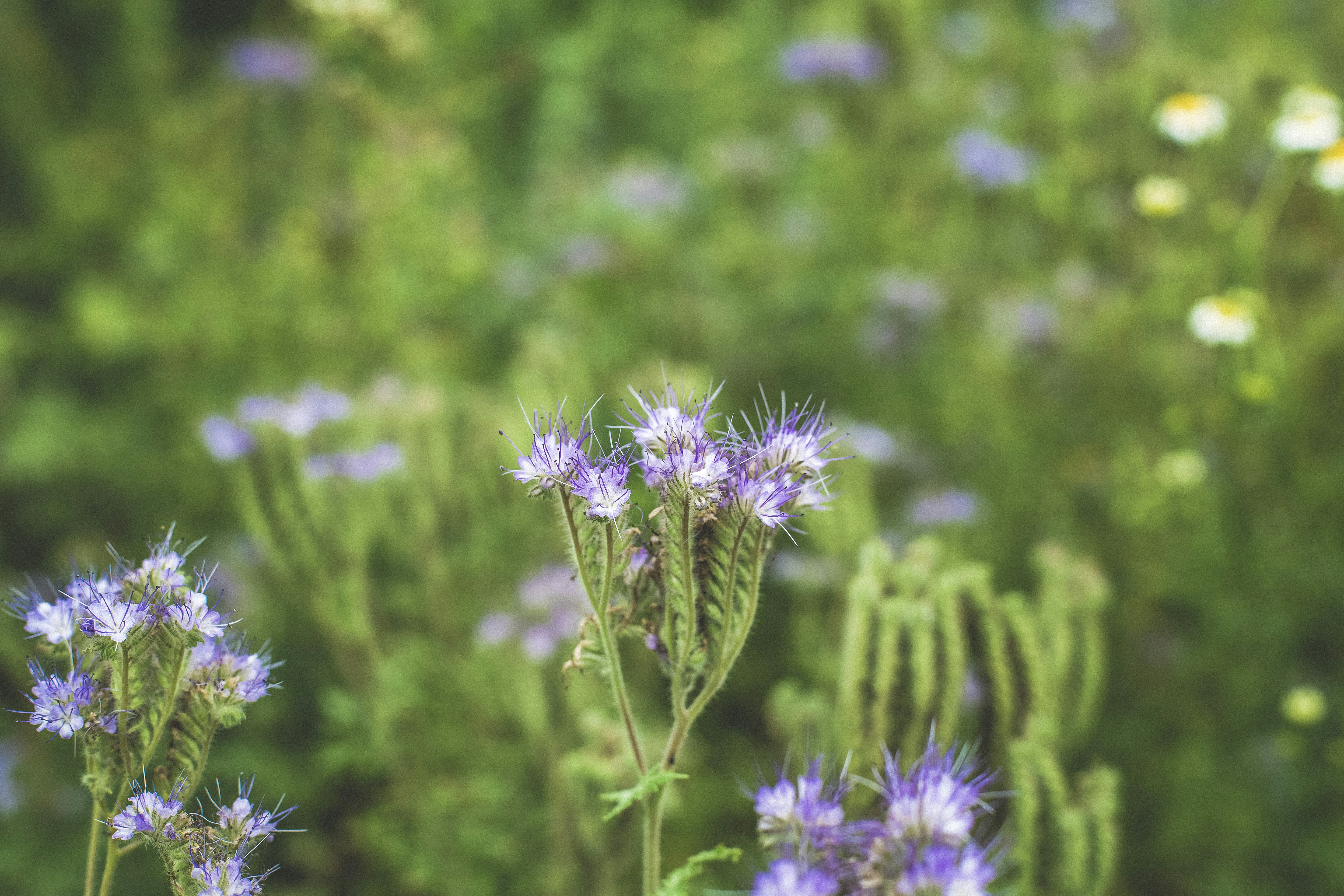 Photo by markusspiske