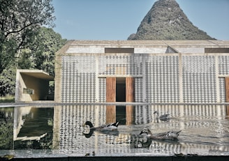 A serene moment showing check site’s commitment to thoughtful design.